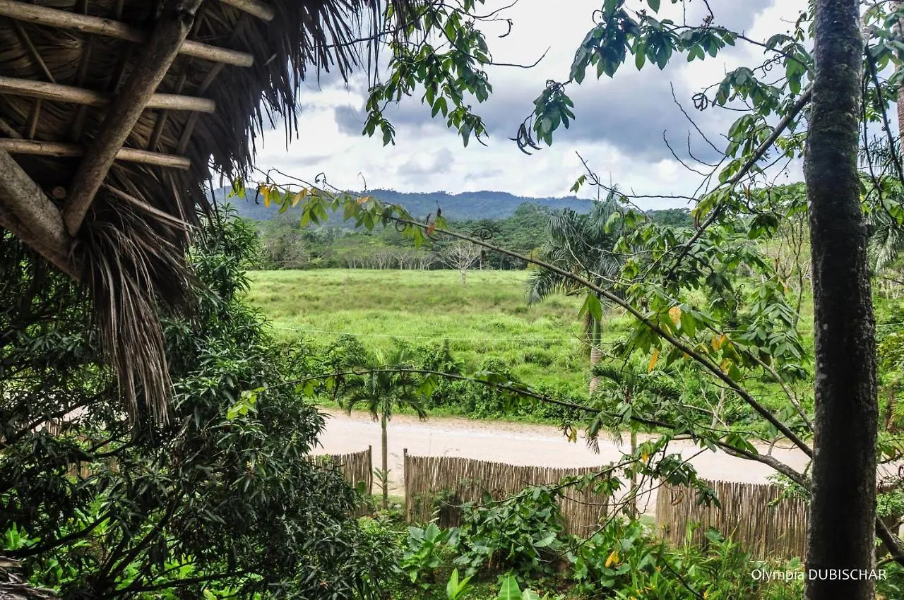 Unique Exotic Hotel Samana